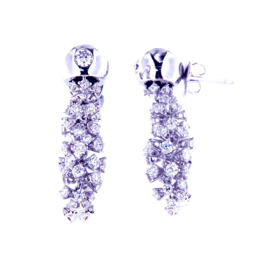 Extravagant Glittering Earrings