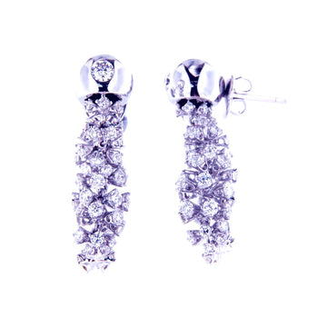 Extravagant Glittering Earrings