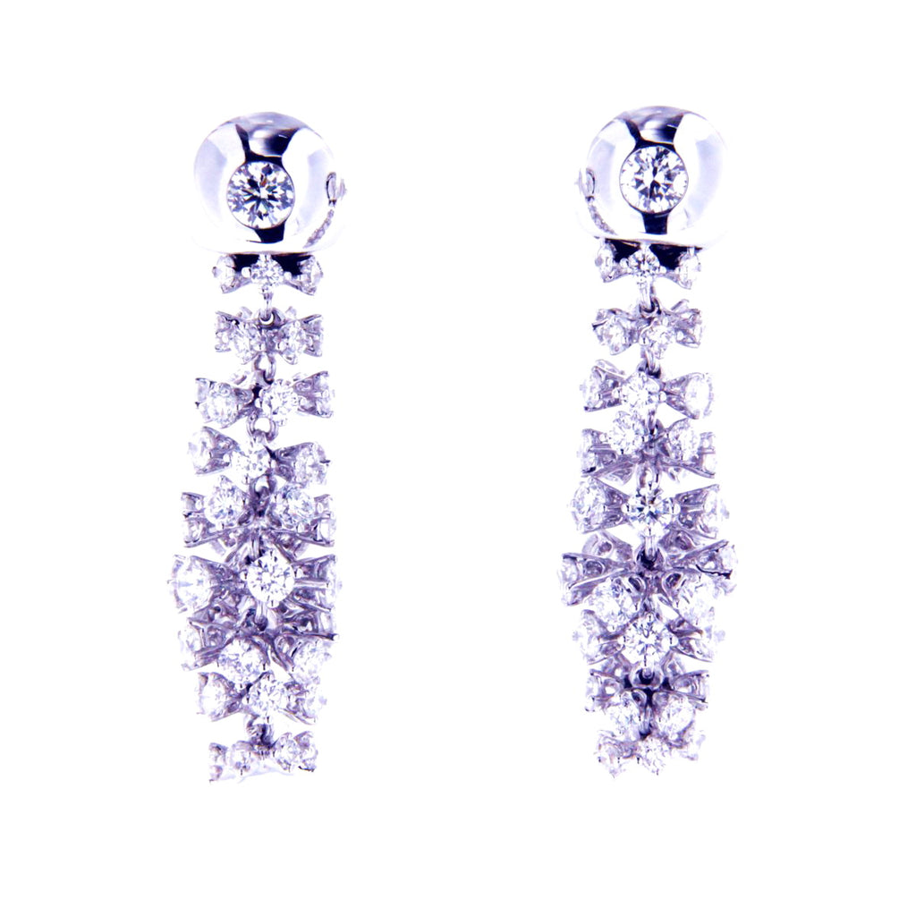 Extravagant Glittering Earrings
