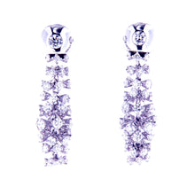 Extravagant Glittering Earrings