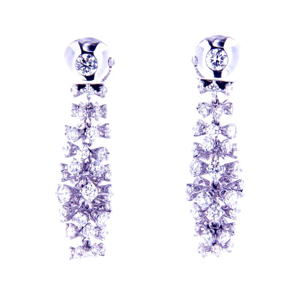 Extravagant Glittering Earrings