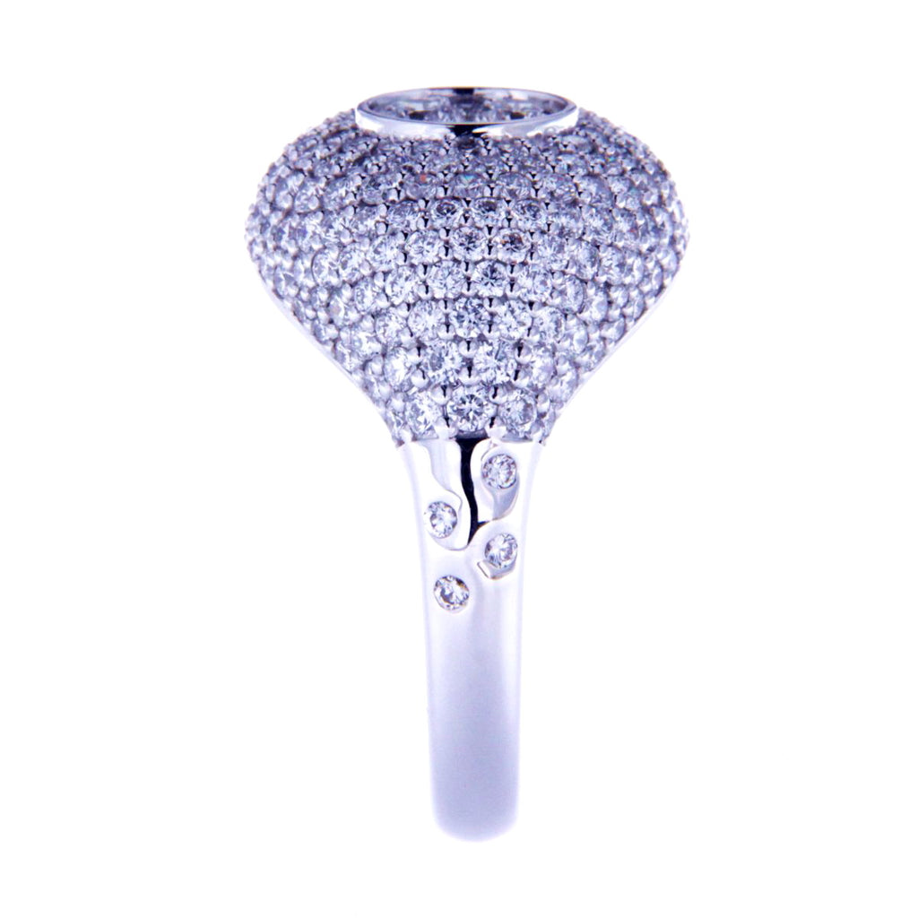 Scattered Light Ring