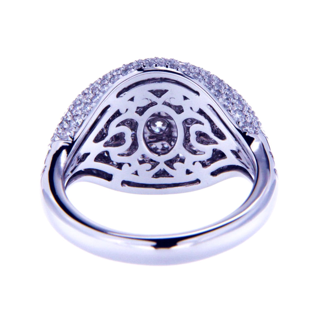 Scattered Light Ring